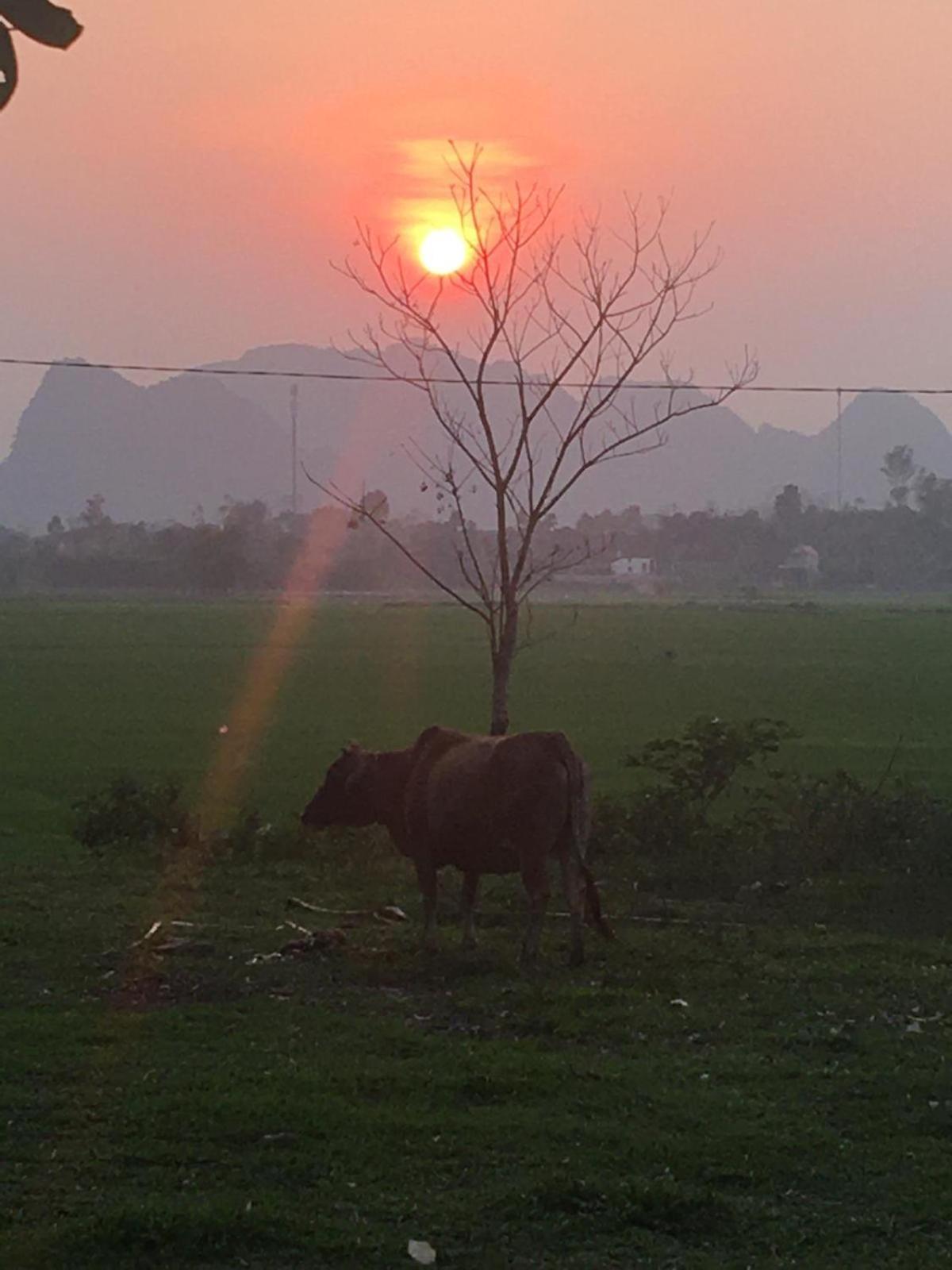 Palafita Bungalow Phong Nha Esterno foto