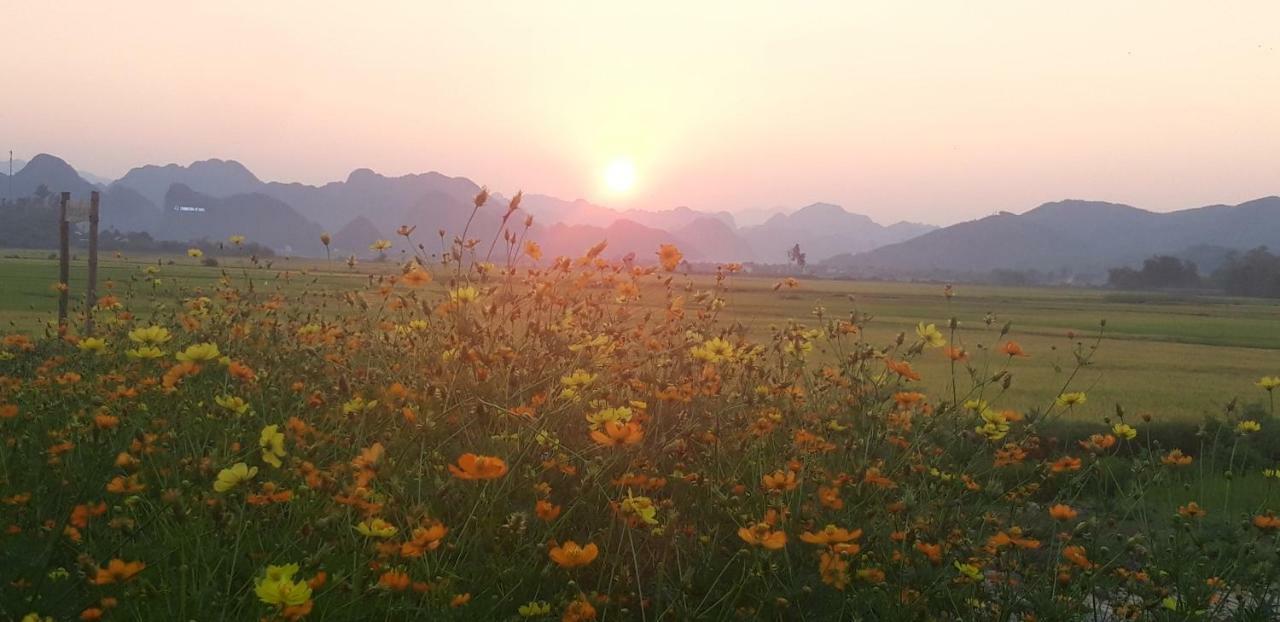 Palafita Bungalow Phong Nha Esterno foto